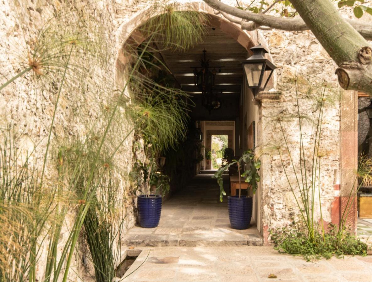 Orchid House San Miguel De Allende Buitenkant foto