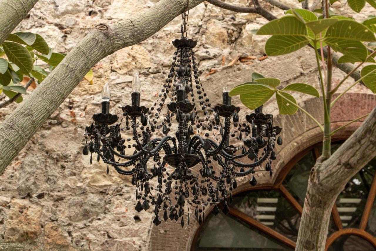 Orchid House San Miguel De Allende Buitenkant foto