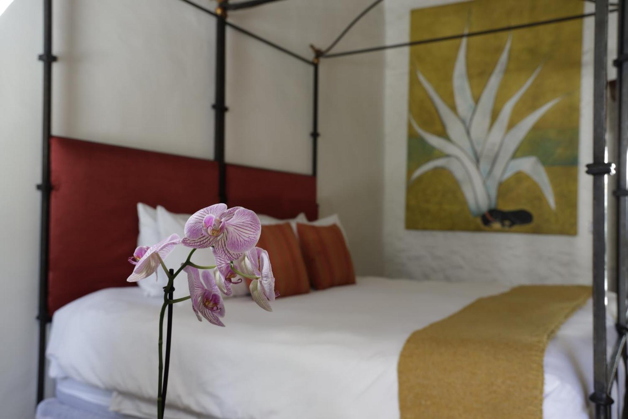 Orchid House San Miguel De Allende Buitenkant foto