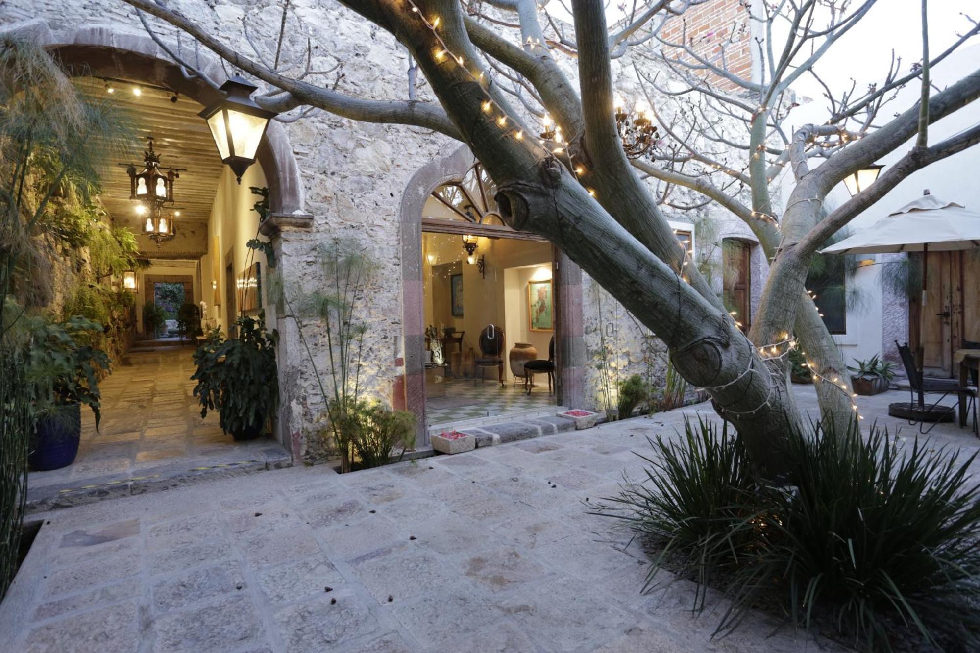 Orchid House San Miguel De Allende Buitenkant foto