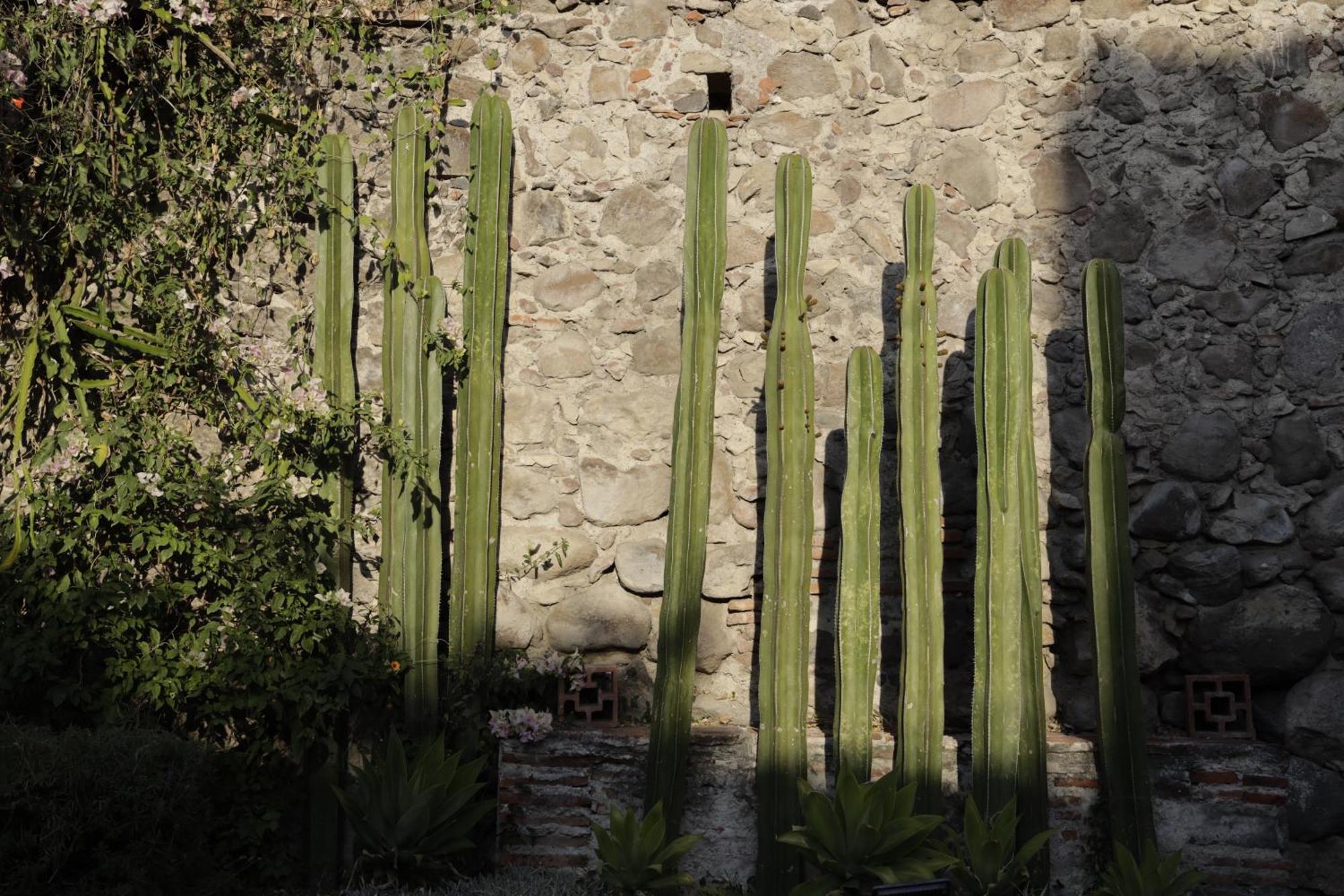 Orchid House San Miguel De Allende Buitenkant foto