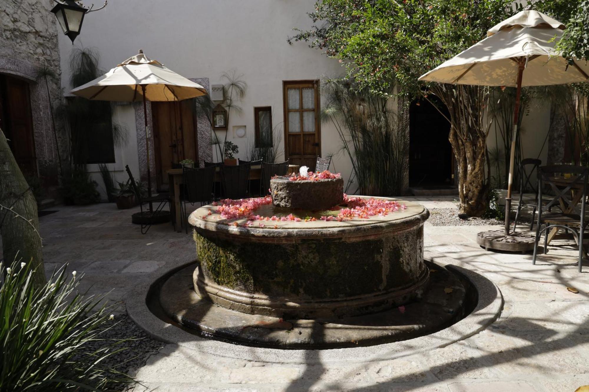 Orchid House San Miguel De Allende Buitenkant foto