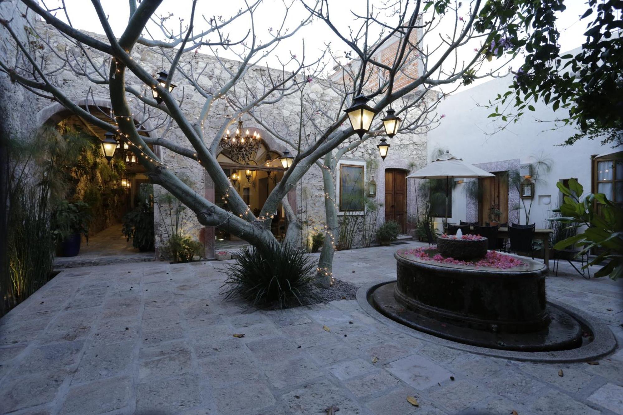 Orchid House San Miguel De Allende Buitenkant foto