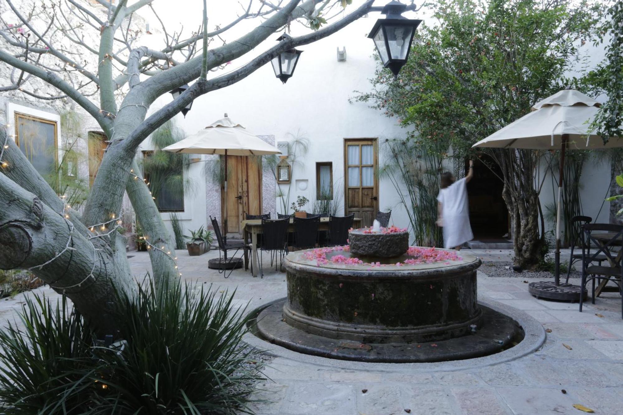 Orchid House San Miguel De Allende Buitenkant foto