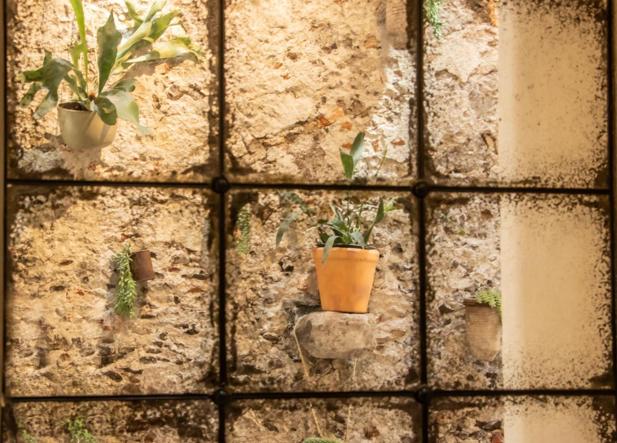Orchid House San Miguel De Allende Buitenkant foto