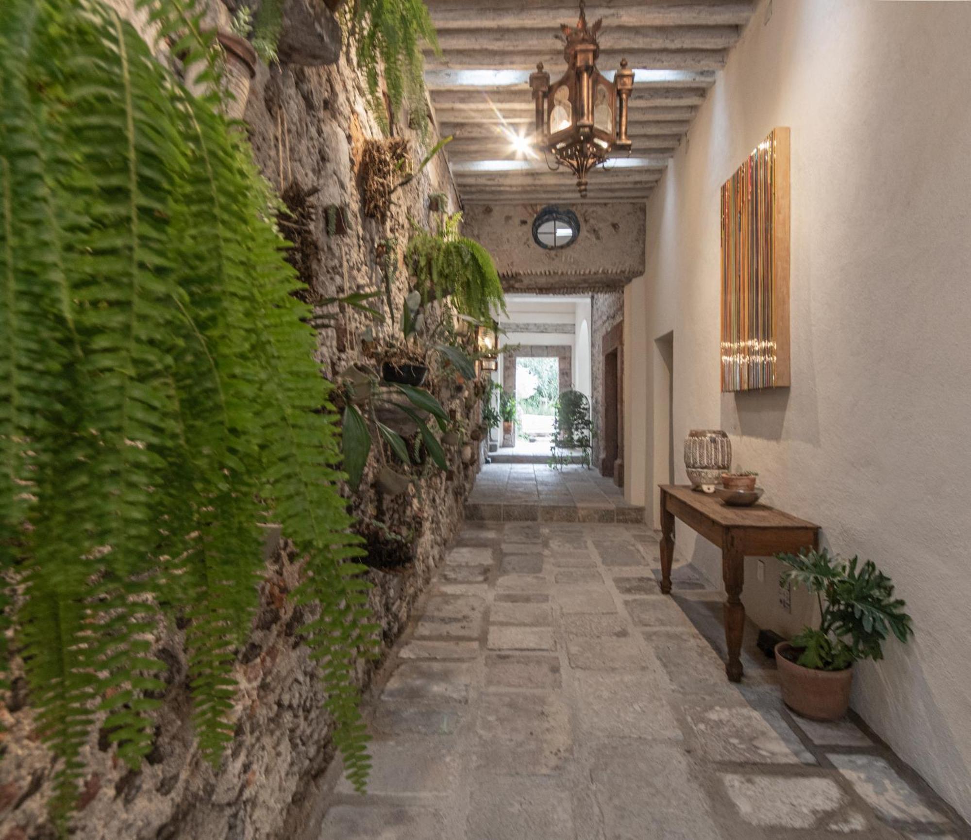 Orchid House San Miguel De Allende Buitenkant foto